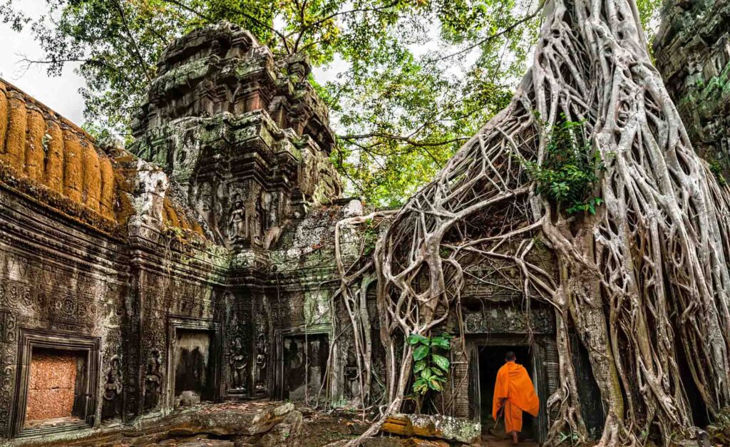 Anggkor Wat - Monk & Trees -Fareast247