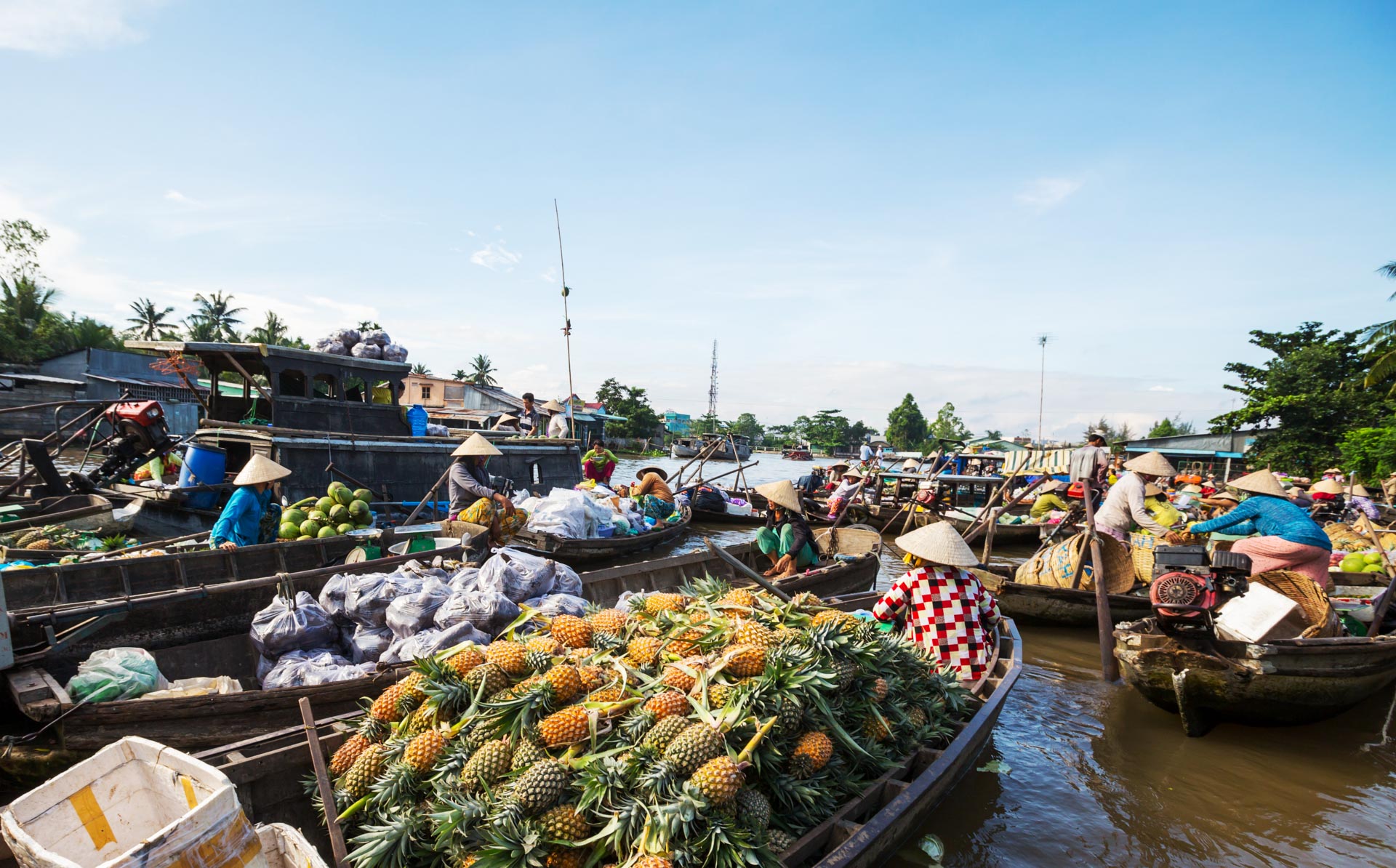 Mekong Delta - Floating Market Pineapples Boat Store - fareast247