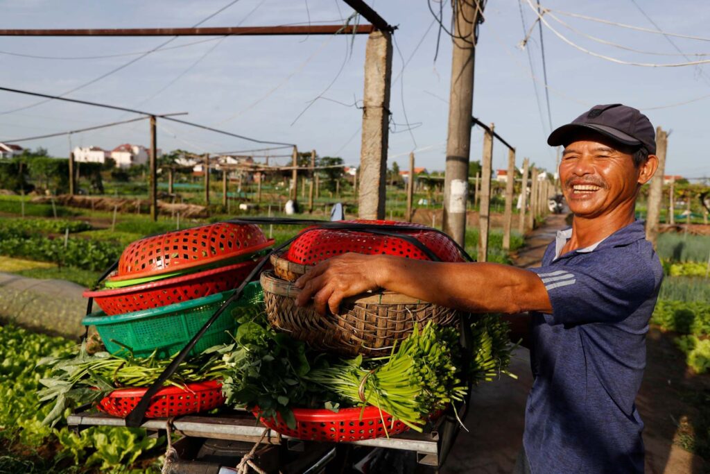 Agricuture.,Organic,Vegetable,Gardens,In,Tra,Que,Village.,Farmer,At - Fareast247